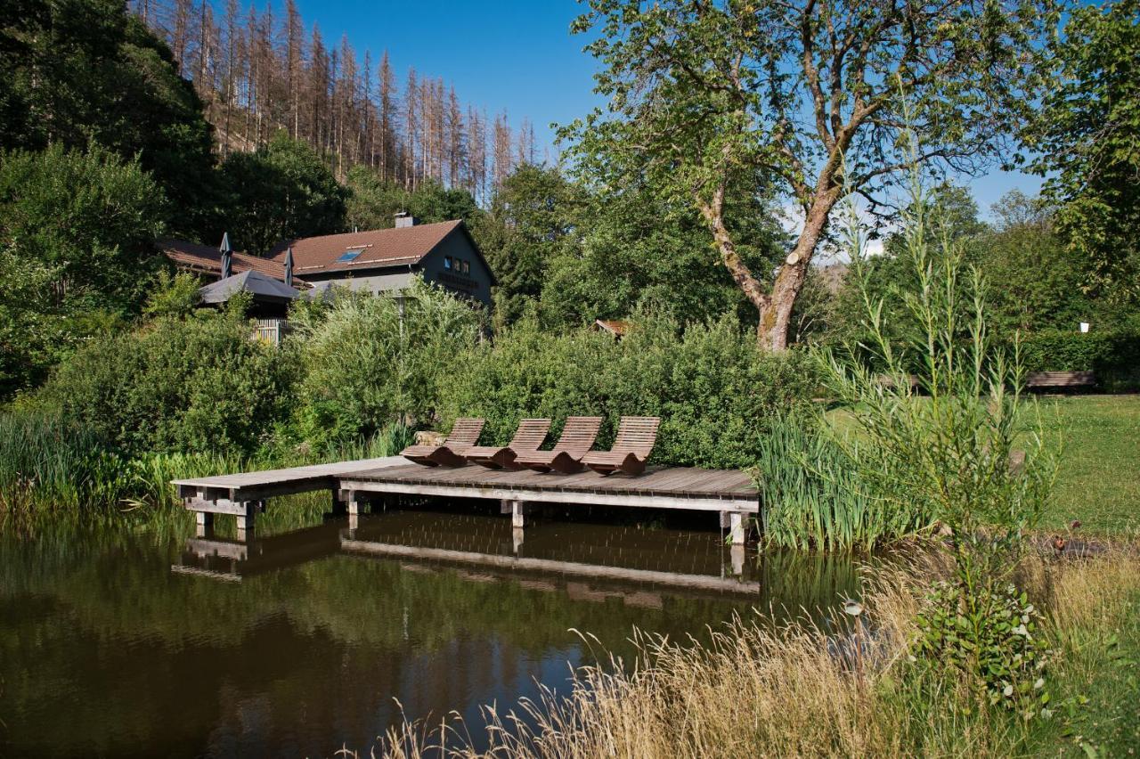 Tiny House Nature 12 - Green Tiny Village Harz Osterode am Harz エクステリア 写真