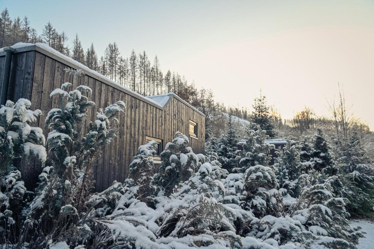 Tiny House Nature 12 - Green Tiny Village Harz Osterode am Harz エクステリア 写真