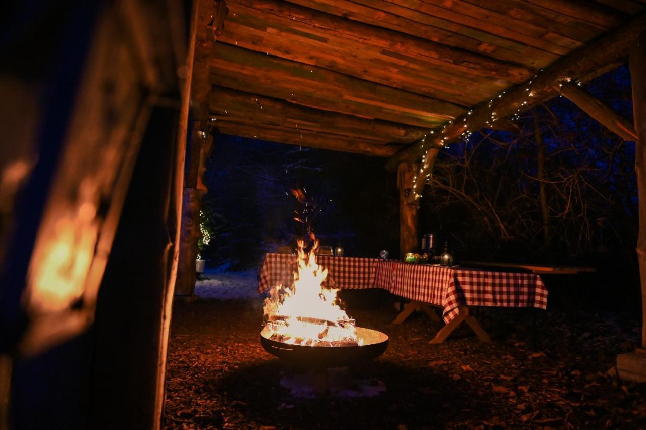 Tiny House Nature 12 - Green Tiny Village Harz Osterode am Harz エクステリア 写真