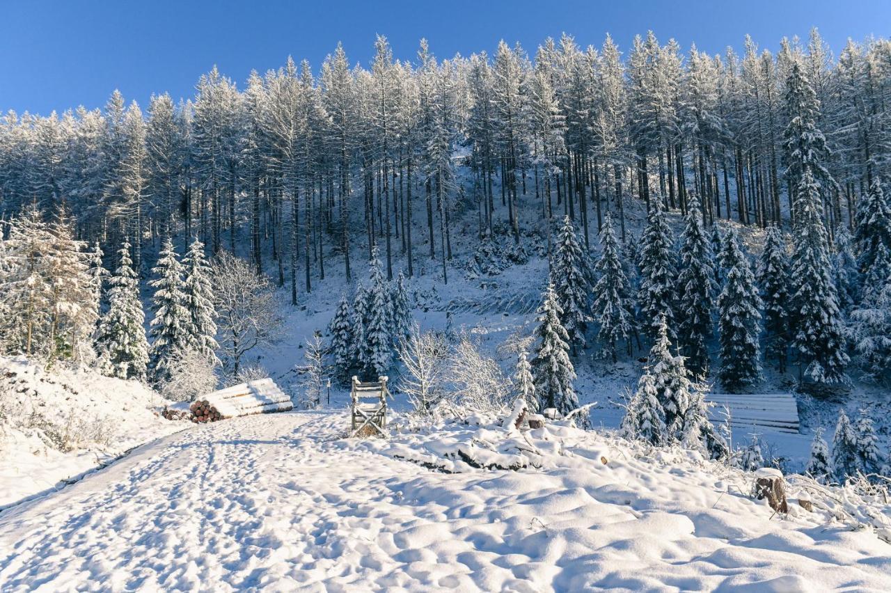 Tiny House Nature 12 - Green Tiny Village Harz Osterode am Harz エクステリア 写真